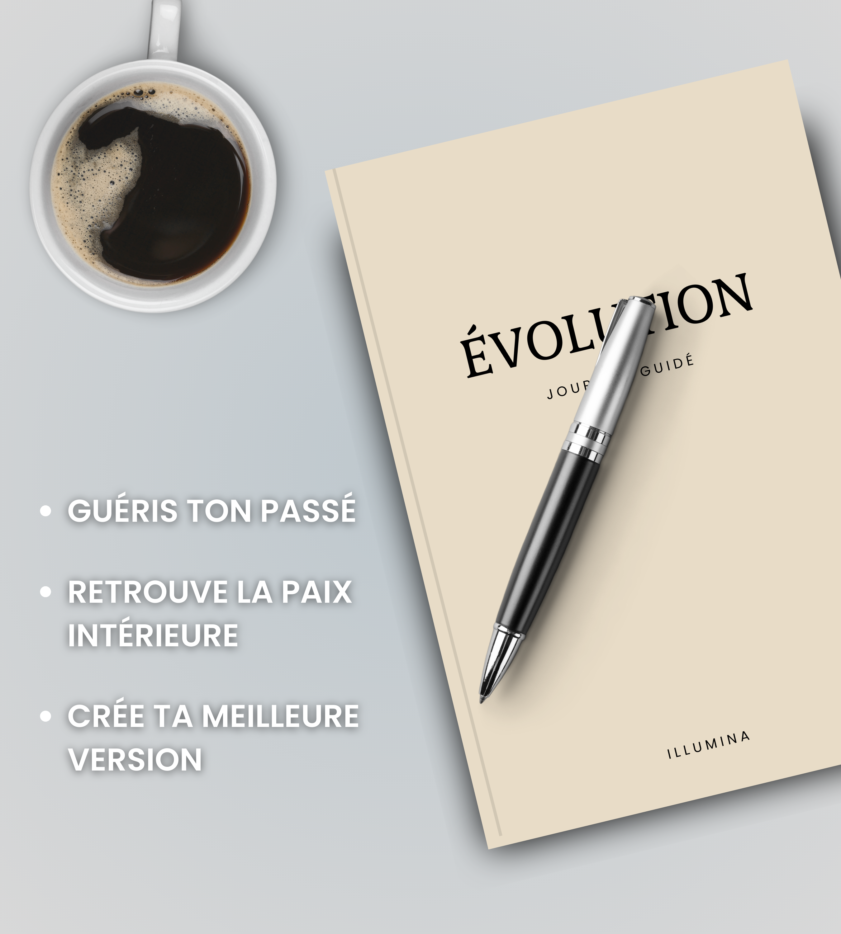 Journal L'evolution Illumina